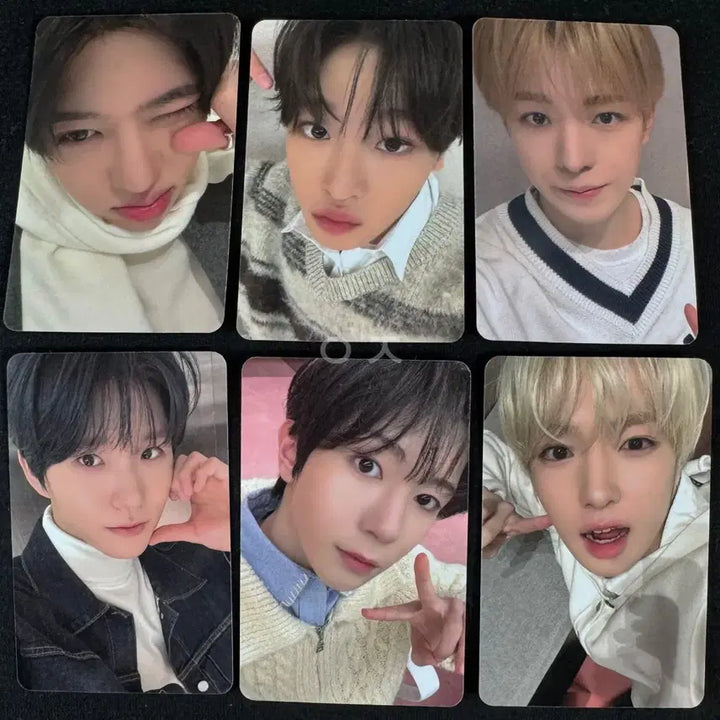 [BUNJANG] NCT WISH &