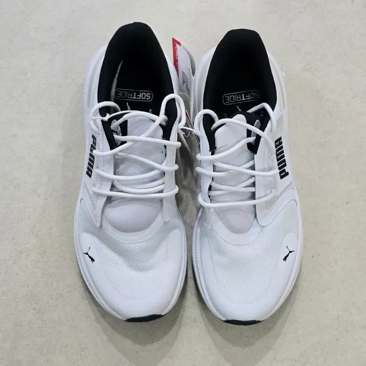 [BUNJANG] Puma Softride Exo Shift Lace Running Shoes 260mm / [새상품]푸마 소프트라이드 엑소 시프트 운동화 260 러닝화