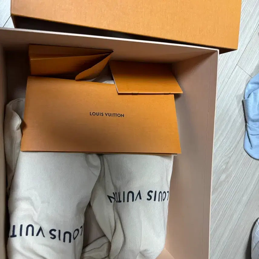 [BUNJANG] Louis Vuitton Sneakers 250 / 루이비통 스니커즈 250