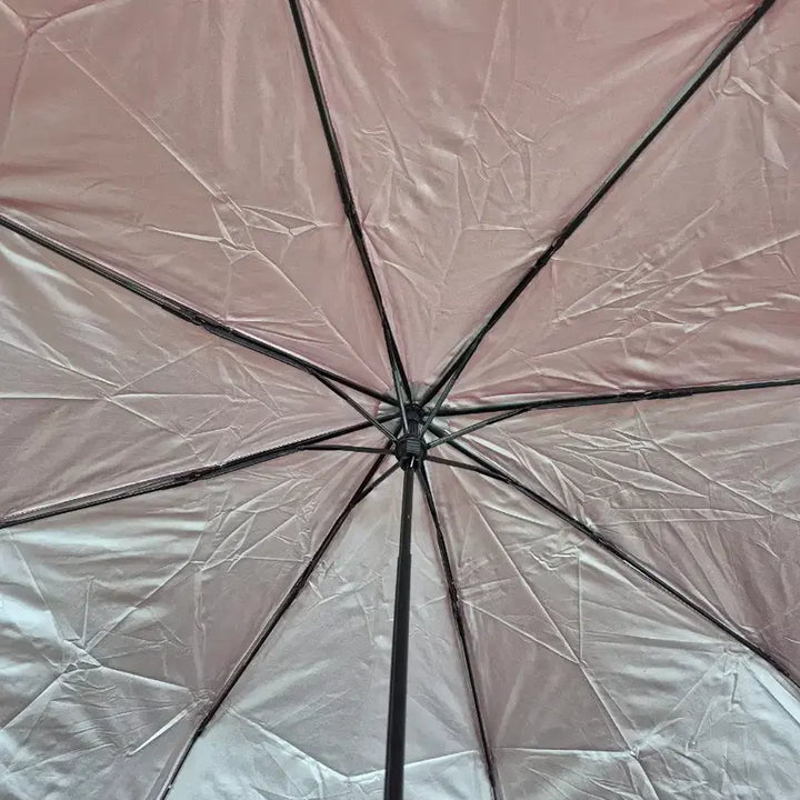 [BUNJANG] 3-Fold Manual Umbrella Bundle Set / 5개 모두 3단 수동 우산