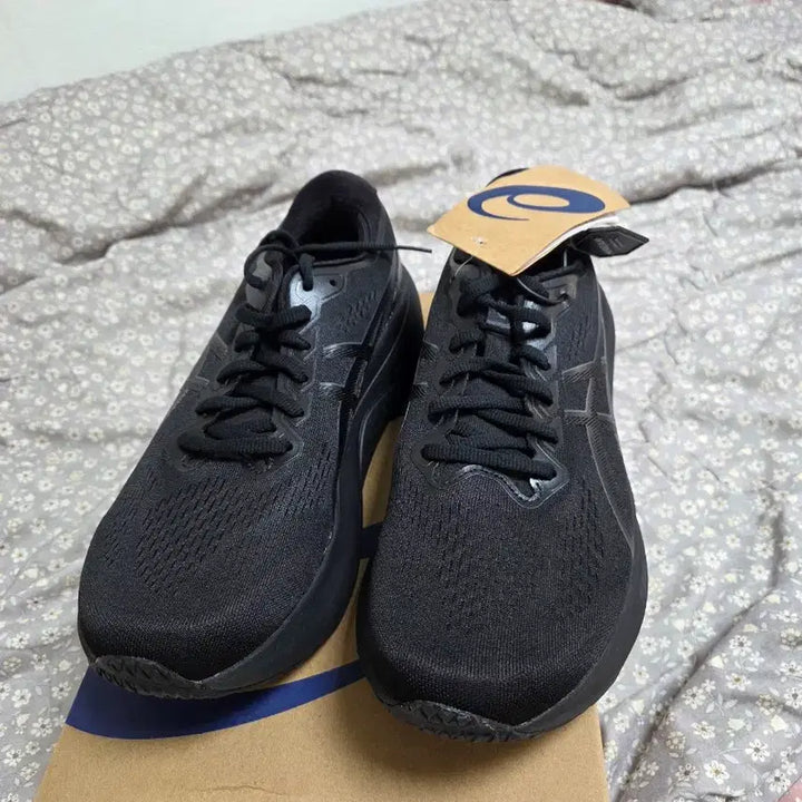[BUNJANG] ASICS Gel-Kayano 30 Running Shoes Black / 아식스 젤 카야노30 블랙