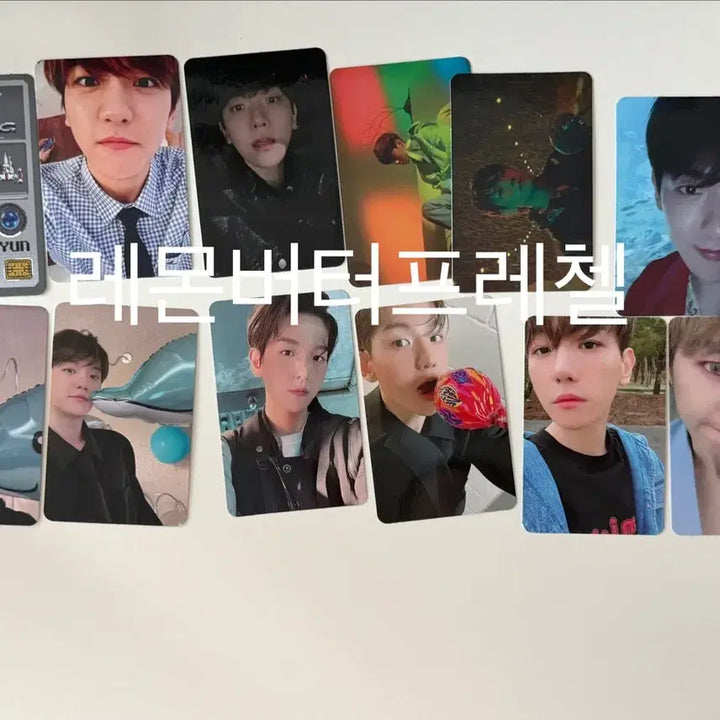 [BUNJANG] Baekhyun Plush Toy Bundle Set (Sealed) + Photocard / 터래기 굿즈 미개봉 미사용 + 백현 포카 일괄 판매합니다