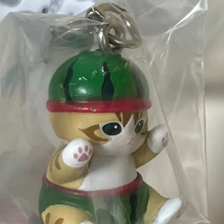 [BUNJANG] Mohu Sand Fruit Mezushi Figure Gacha Watermelon / 모후샌드 과일 메지루시 피규어 가챠 수박