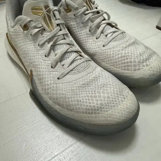[BUNJANG] Nike Kobe Mamba Focus Basketball Shoes / 코비 맘바 포커스