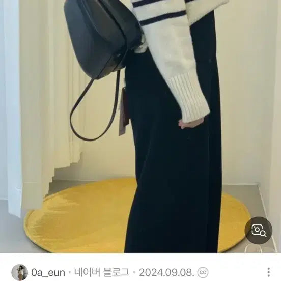[BUNJANG] Archivepke Sheltin Bag Lizard Black Tote Bag / 아카이브앱크 쉘틴백 리자드 블랙