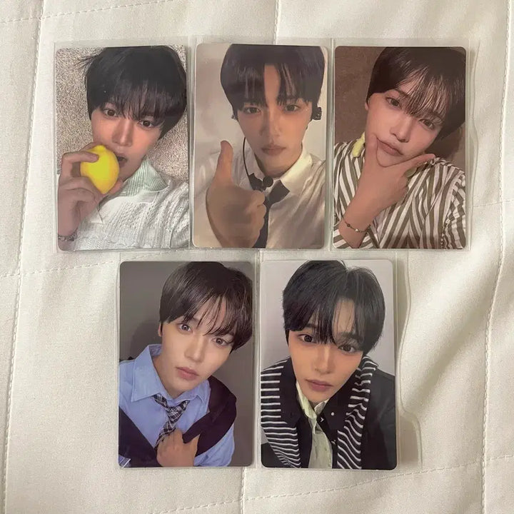 [BUNJANG] Jang Han Eum Photocard Bundle Set / [처분]장한음 포토카드 일괄 양도