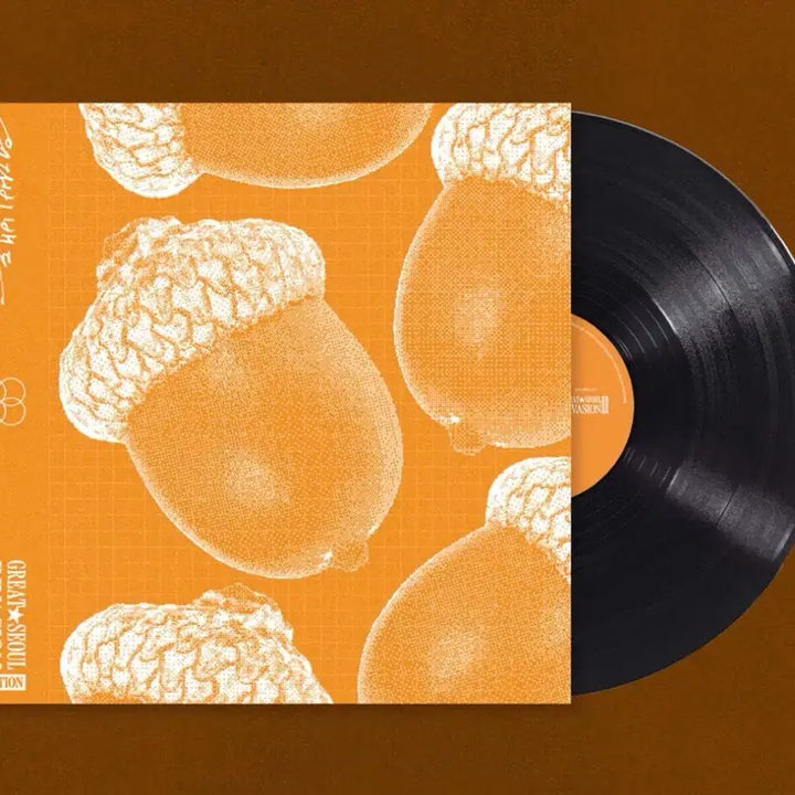 [BUNJANG] Youdaeun Band GSI Edition LP Vinyl / 유다빈밴드 GSI Edition LP 미개봉 새상품