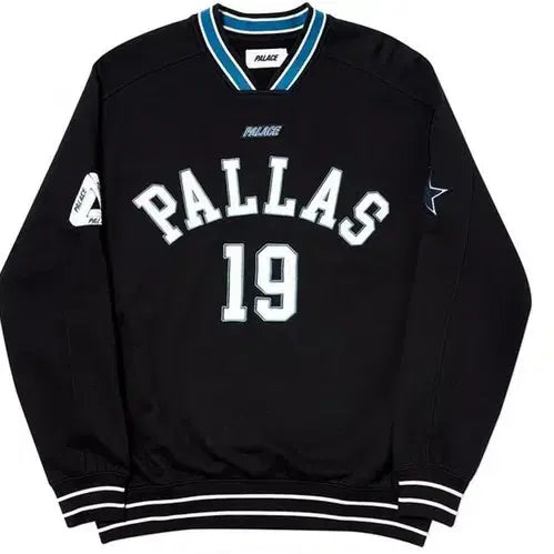 [BUNJANG] Palace Pallas Crewneck T-Shirt / [L] 팔라스 PALLAS 크루넥 PALACE SKATEBOARD