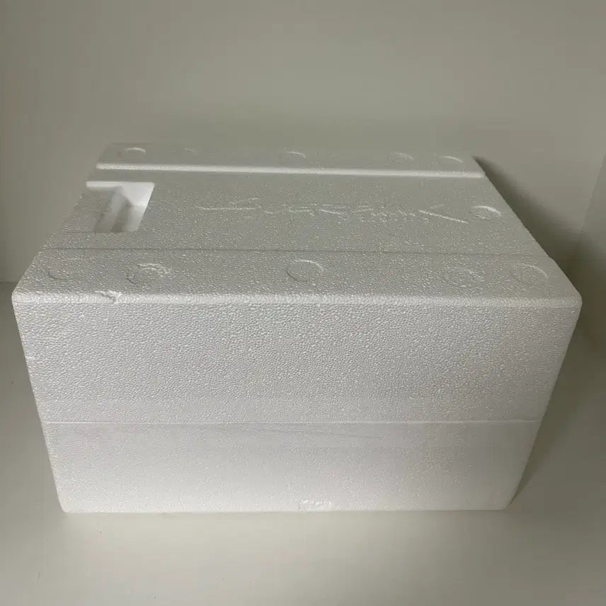 [SOLD OUT] 사이버펑크 2077 V 피규어 [컬렉터스 에디션]
