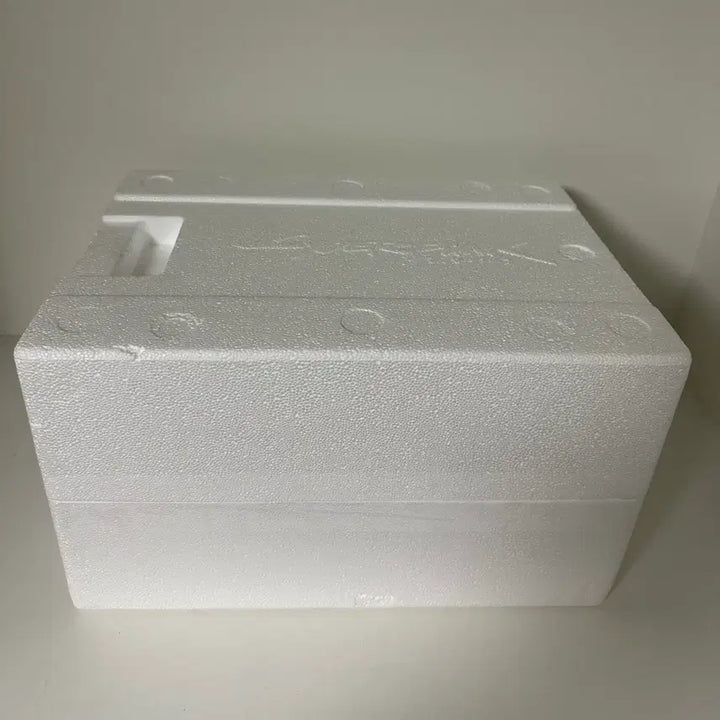 [SOLD OUT] 사이버펑크 2077 V 피규어 [컬렉터스 에디션]