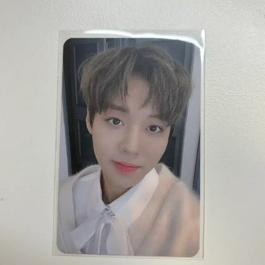 [SOLD OUT] 박지훈 팬미팅 포토카드 판매