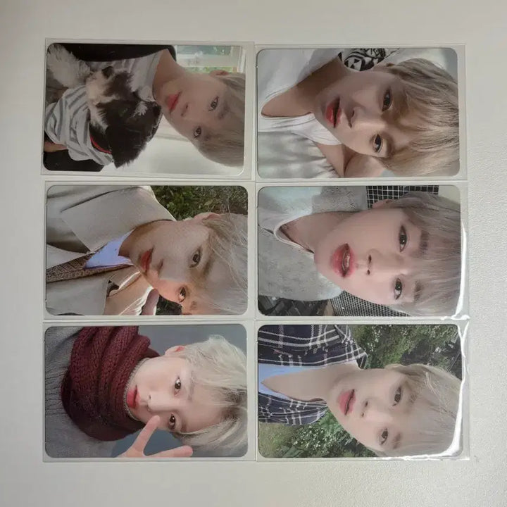 [SOLD OUT] 박지훈 2020 시그 풀구성 판매합니다 포토카드 포함