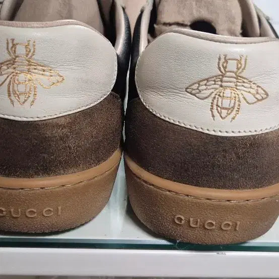 [BUNJANG] Gucci Leather Web Sneakers 265 / 구찌 레더 웹 스니커즈265