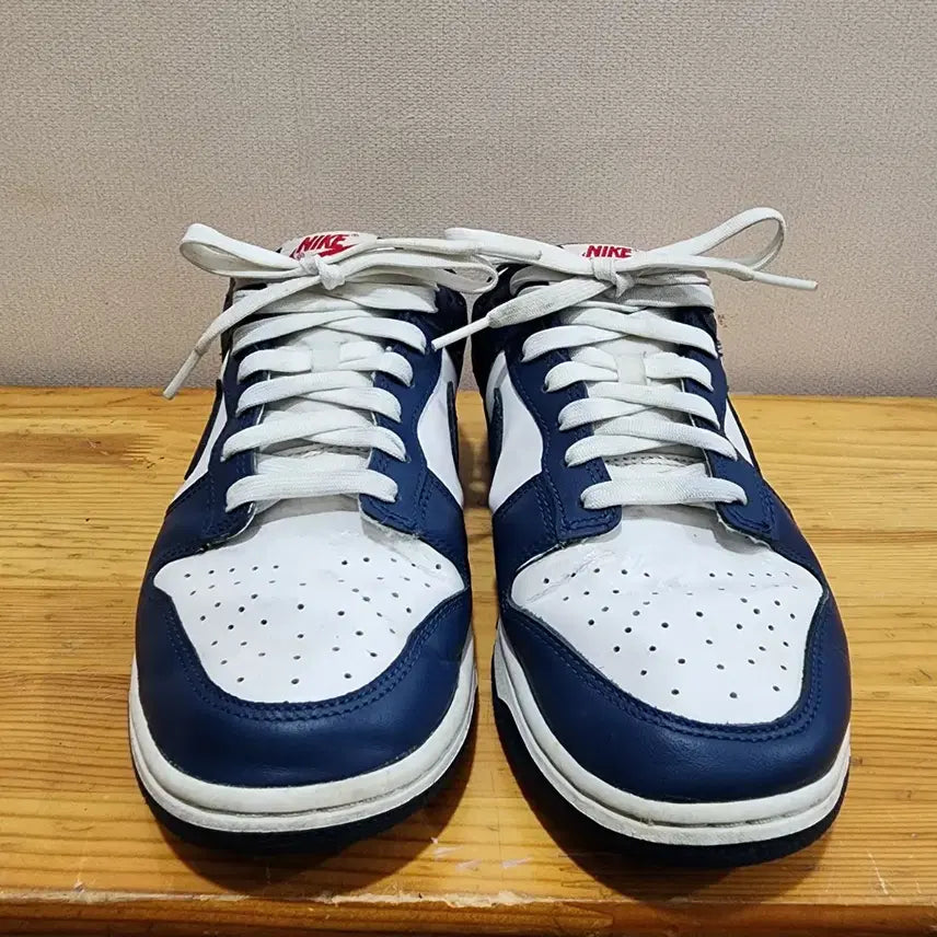 [BUNJANG] Nike Dunk Low Retro &