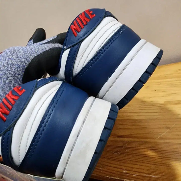 [BUNJANG] Nike Dunk Low Retro &