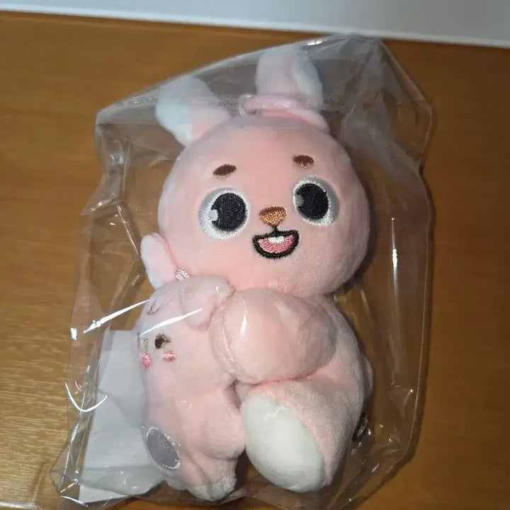 [BUNJANG] Day6 My Day Wonpil Magnet Doll / 데이식스 나안아 마그넷 원필인형