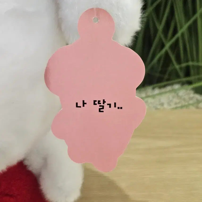 [BUNJANG] Ganadi Strawberry Medium Plush Doll / (새상품) 가나디 나 딸기.. 딸기 중형 인형