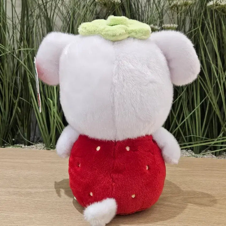 [BUNJANG] Ganadi Strawberry Medium Plush Doll / (새상품) 가나디 나 딸기.. 딸기 중형 인형