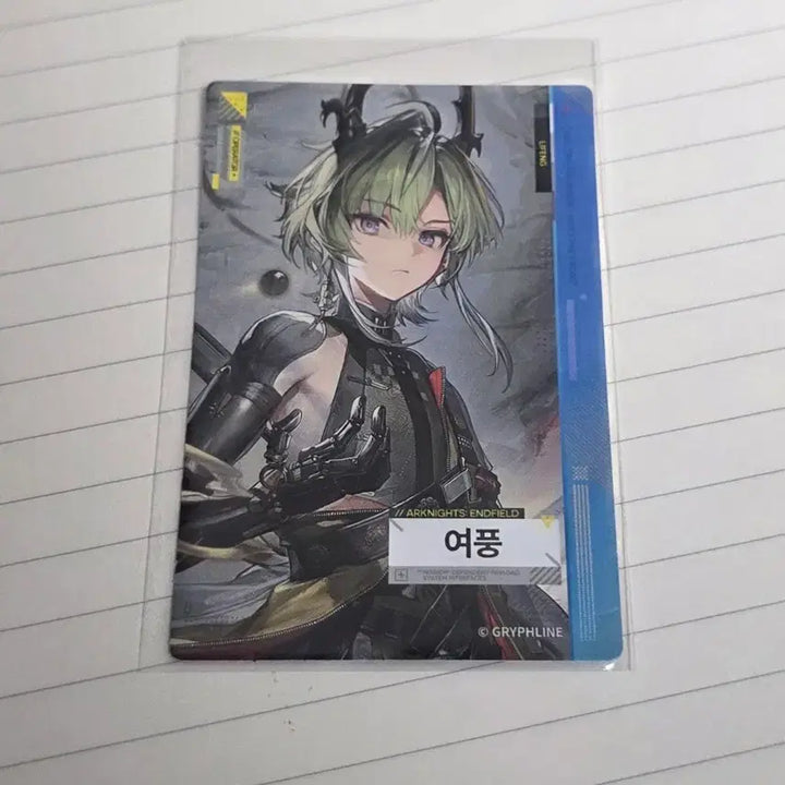 [SOLD OUT] 엔드필드 여풍 포토카드