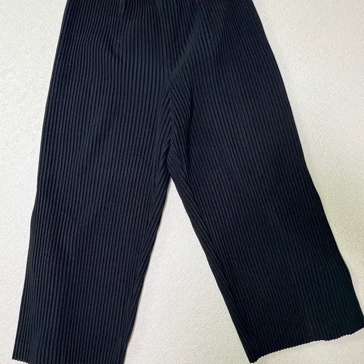 [BUNJANG] Issey Miyake Homme Plissé Wide Pants (Size 1) / 이세이미야케 옴므플리세 와이드 팬츠 (사이즈1)
