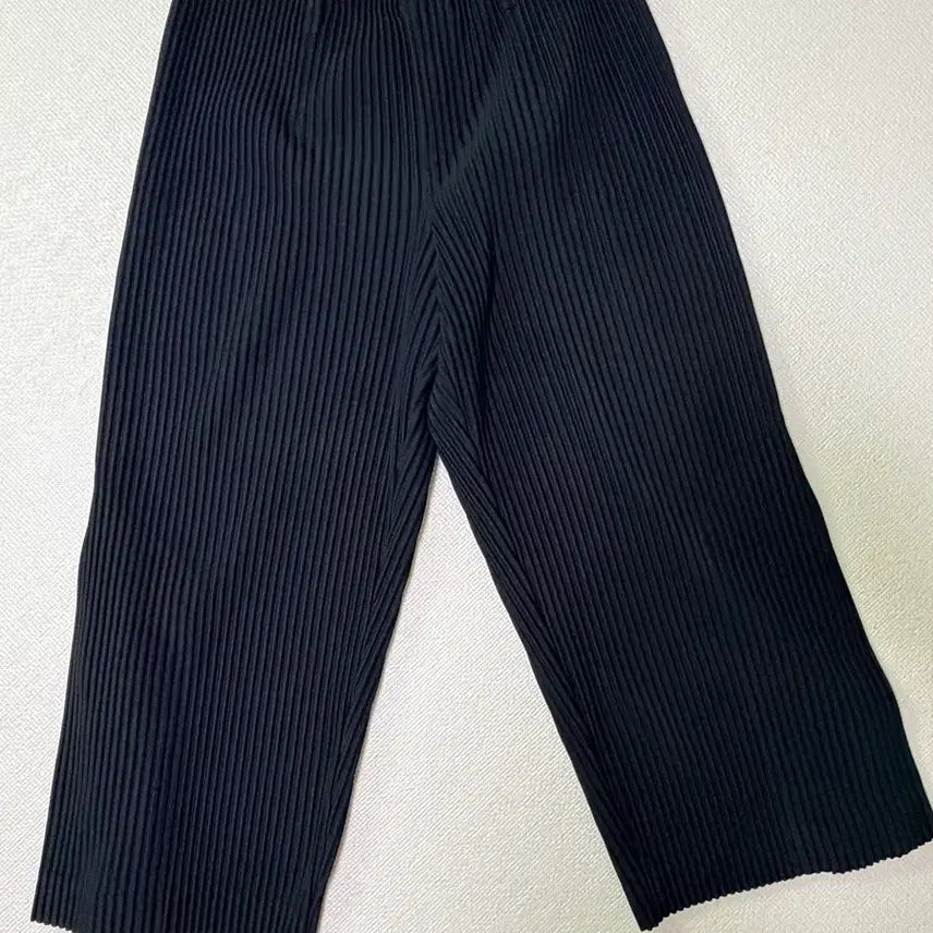 [BUNJANG] Issey Miyake Homme Plissé Wide Pants (Size 1) / 이세이미야케 옴므플리세 와이드 팬츠 (사이즈1)