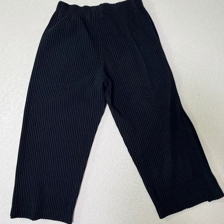 [BUNJANG] Issey Miyake Homme Plissé Wide Pants (Size 1) / 이세이미야케 옴므플리세 와이드 팬츠 (사이즈1)