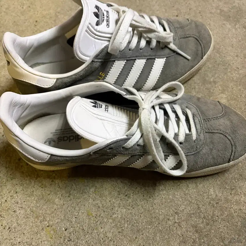 [BUNJANG] Adidas Gazelle Solid Grey Sneakers / (급처) 아디다스 가젤 솔리드 그레이