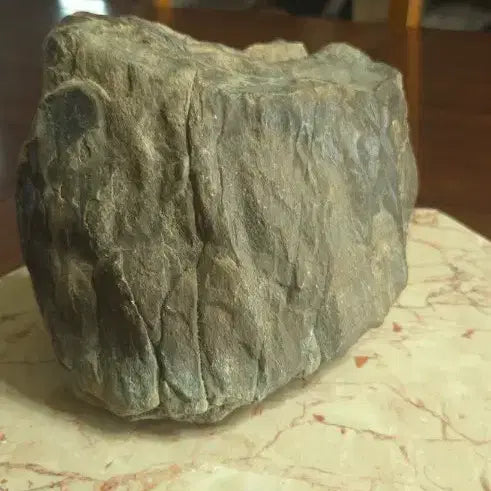 [BUNJANG] 3.3kg Petrified Wood Fossil / 3.3kg 규화목 화석