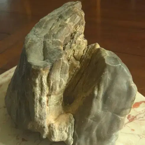 [BUNJANG] 3.3kg Petrified Wood Fossil / 3.3kg 규화목 화석