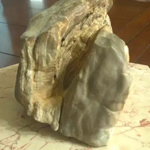 [BUNJANG] 3.3kg Petrified Wood Fossil / 3.3kg 규화목 화석