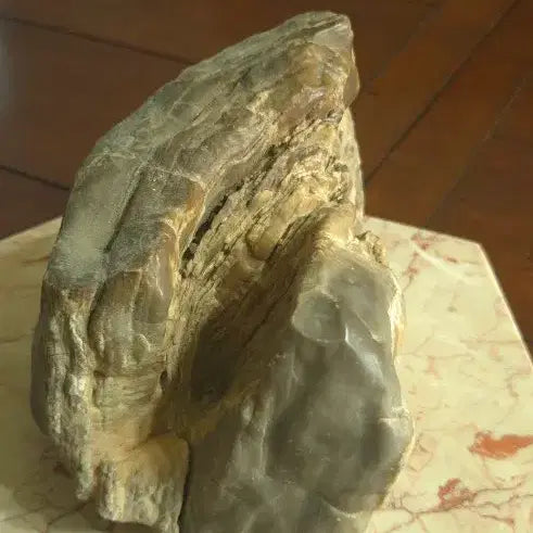 [BUNJANG] 3.3kg Petrified Wood Fossil / 3.3kg 규화목 화석