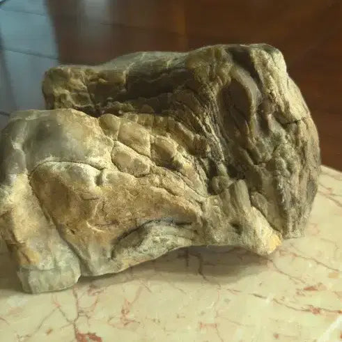 [BUNJANG] 3.3kg Petrified Wood Fossil / 3.3kg 규화목 화석