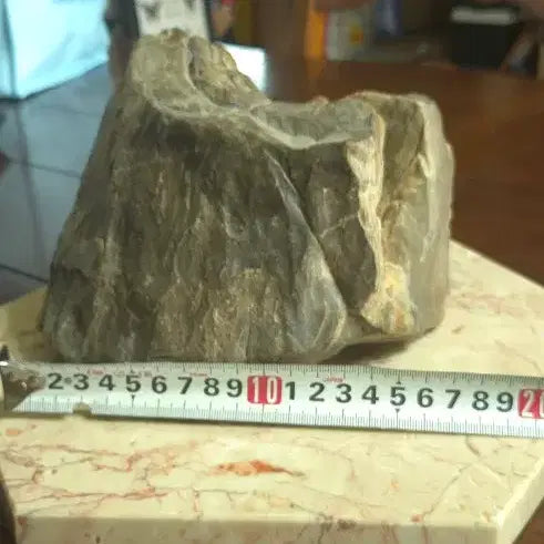 [BUNJANG] 3.3kg Petrified Wood Fossil / 3.3kg 규화목 화석