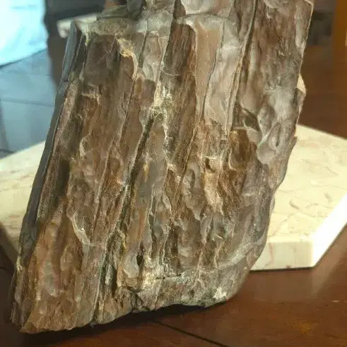 [BUNJANG] Fossilized Wood Specimen (1.45kg) / 1.45kg 규화목 화석