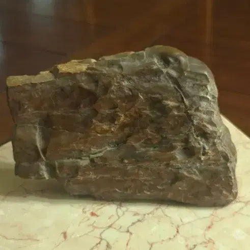 [BUNJANG] Fossilized Wood Specimen (1.45kg) / 1.45kg 규화목 화석