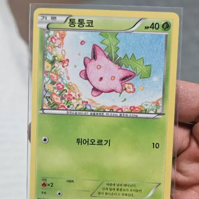 [BUNJANG] Pokemon Card Ancient Pack Tongtongco Card / 포켓몬카드 고대팩 통통코 카드 팝니다
