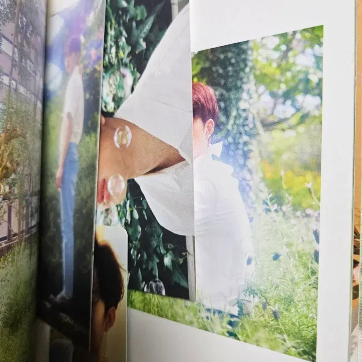 [BUNJANG] Yoo Seon Ho Signed Album Spring, Sunho / 유선호 싸인앨범 비매  미니1집 봄, 선호