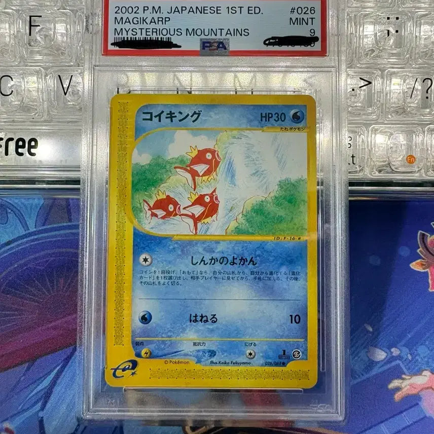 [SOLD OUT] 포켓몬카드 일판  e카드 psa9 잉어킹