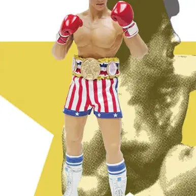 [BUNJANG] Hot Toys Rocky IV MMS19 Rocky Balboa / 핫토이 록키4 MMS19 록키발보아 초레어
