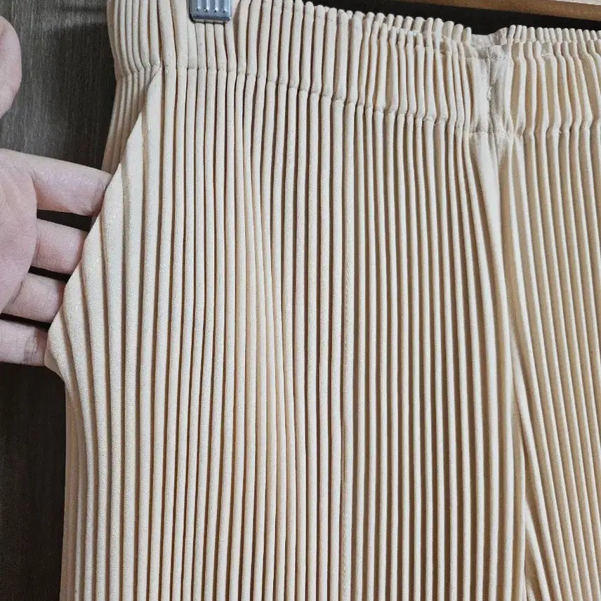 [BUNJANG] Mong Pleats Pleated Pants / ㅣ몽플리츠 플리츠 팬츠ㅣ