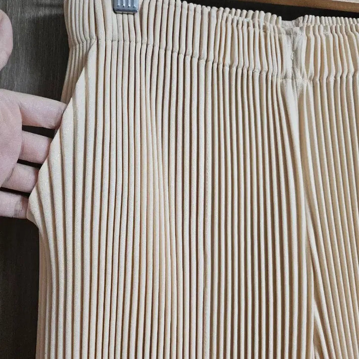 [BUNJANG] Mong Pleats Pleated Pants / ㅣ몽플리츠 플리츠 팬츠ㅣ