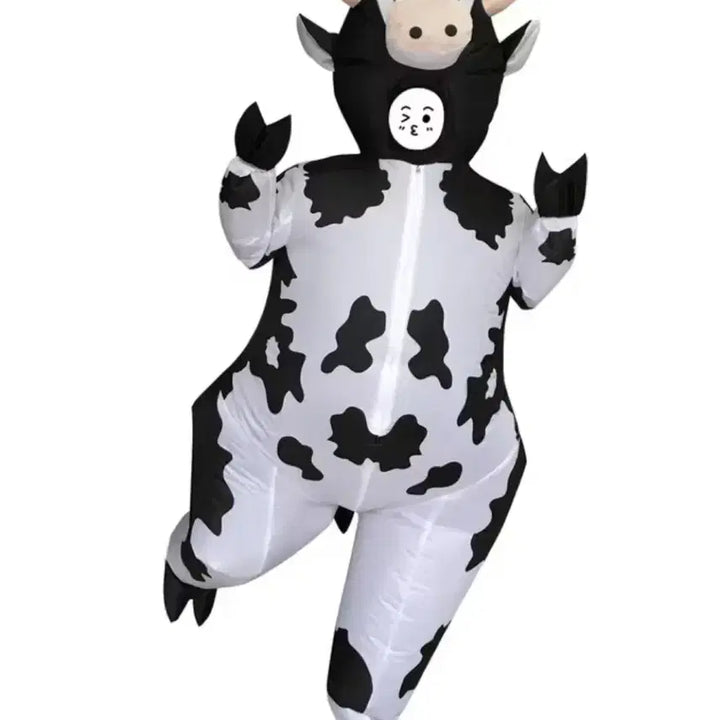 [BUNJANG] Cow Airsuit Rental / 졸업사진 젖소 에어슈트 대여 (리뷰이벤트)
