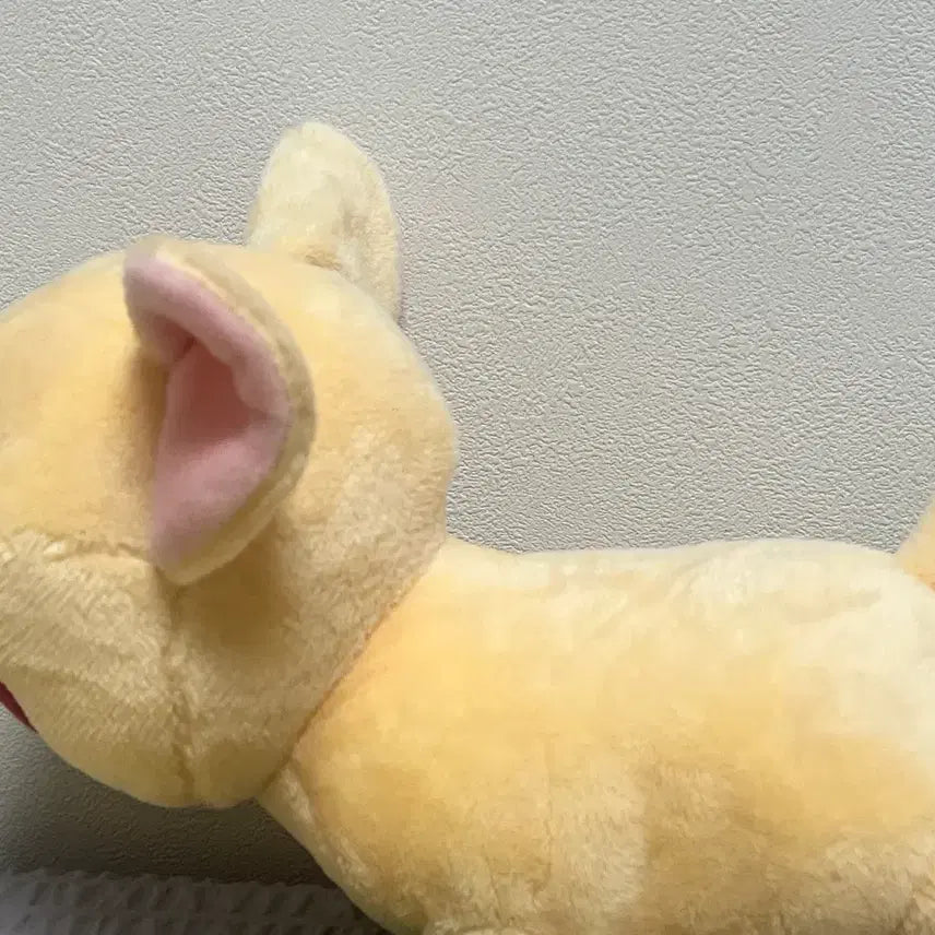 [SOLD OUT] 히로아카 바쿠고 인형 바쿠독