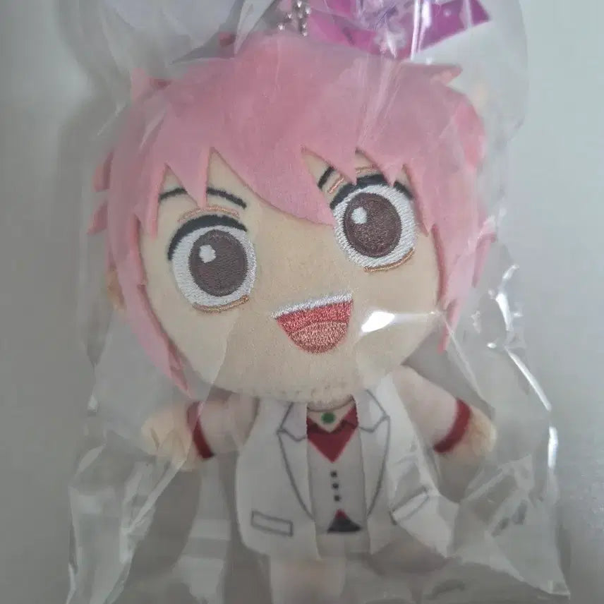 [BUNJANG] Everysong Koichi Plush Doll / 에브호스 코이치 누이 인형