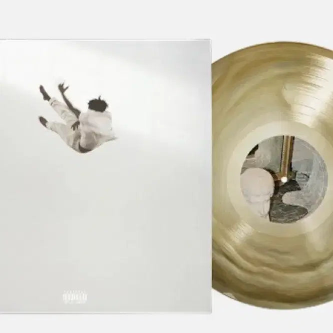 [BUNJANG] Daniel Caesar Pilgrims Paradise LP Limited Edition / 다니엘시저 lp Pilgrims Paradise lp 세컨드트랙 한정