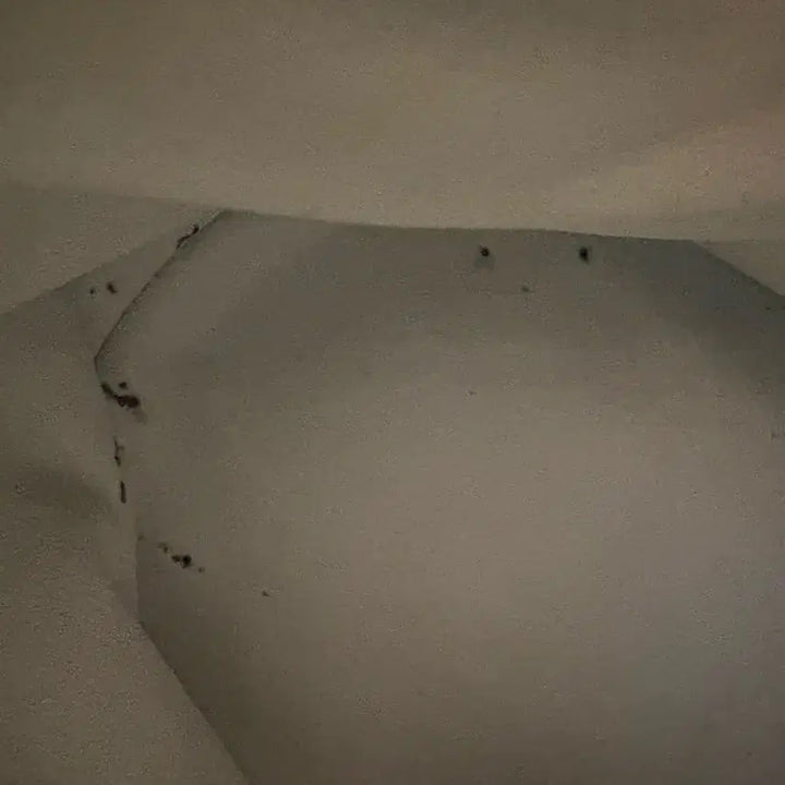 [SOLD OUT] 미닛뮤트 토보백 미니 아이보리