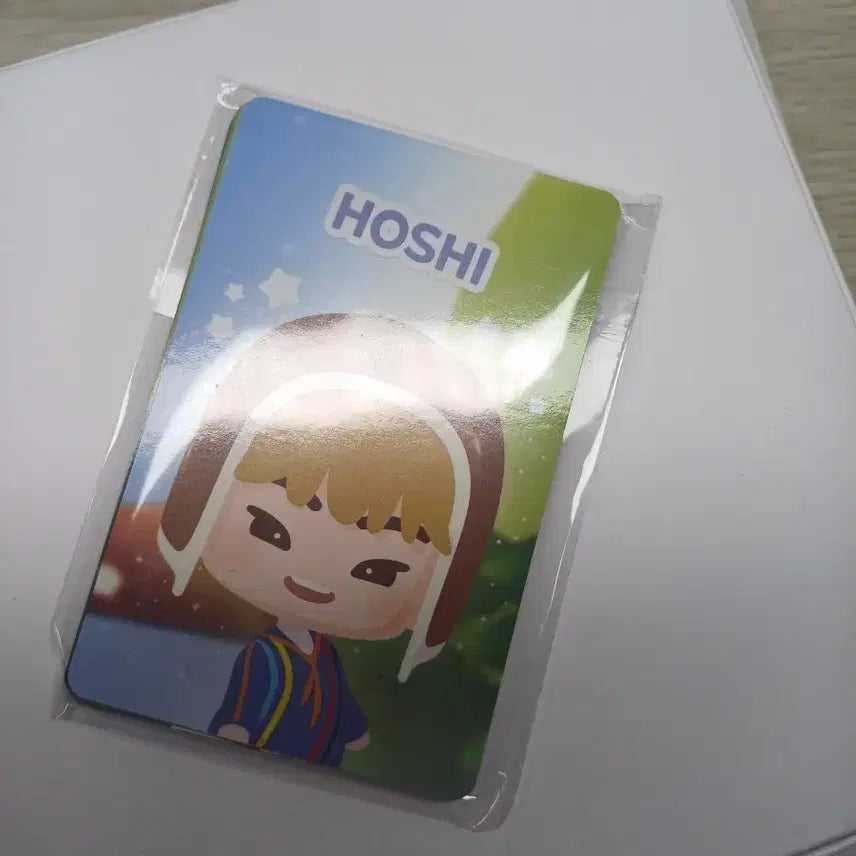 [BUNJANG] Seventeen Concert Photocard / 세븐틴 콘서트 포카 양도