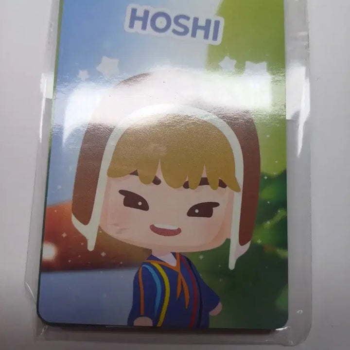 [BUNJANG] Seventeen Concert Photocard / 세븐틴 콘서트 포카 양도