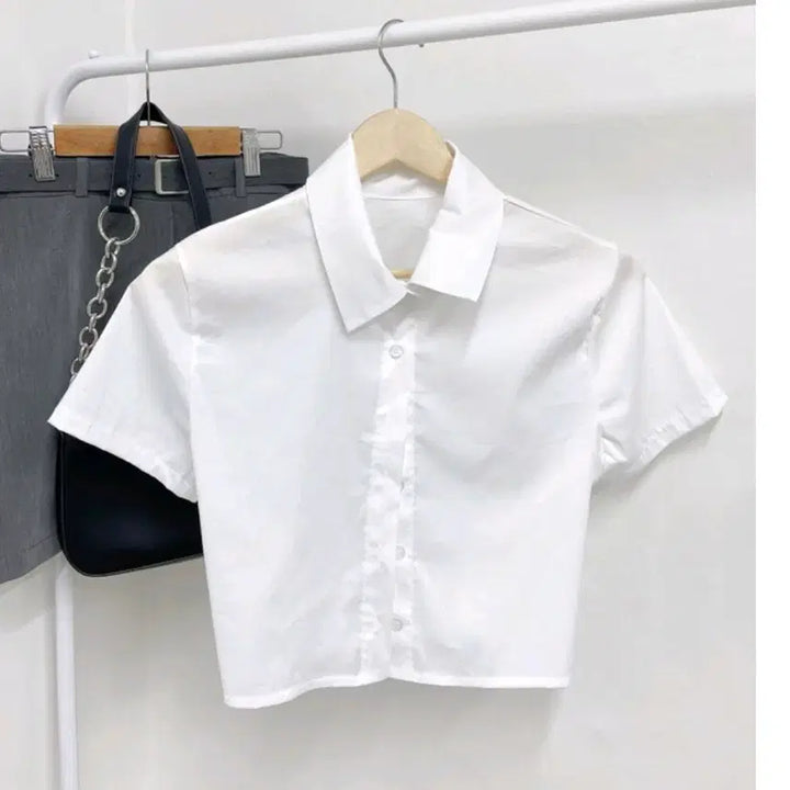 [BUNJANG] Cropped Half Sleeve Shirt with Back Banding / 크롭 뒷밴딩 반팔 셔츠 남방