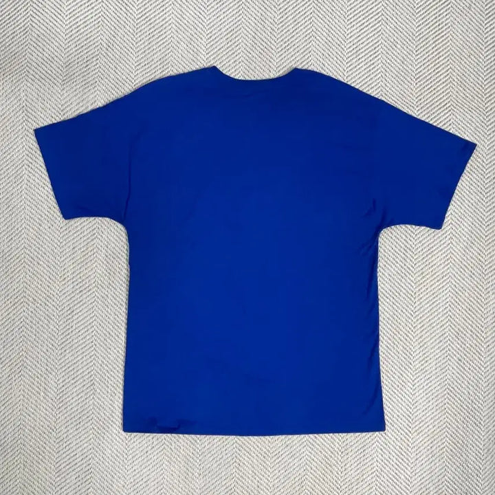 [BUNJANG] Champion Blue T-shirt / 챔피온 정품 파란색 반팔티 L사이즈